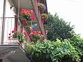 2008-07-29 08-33-53